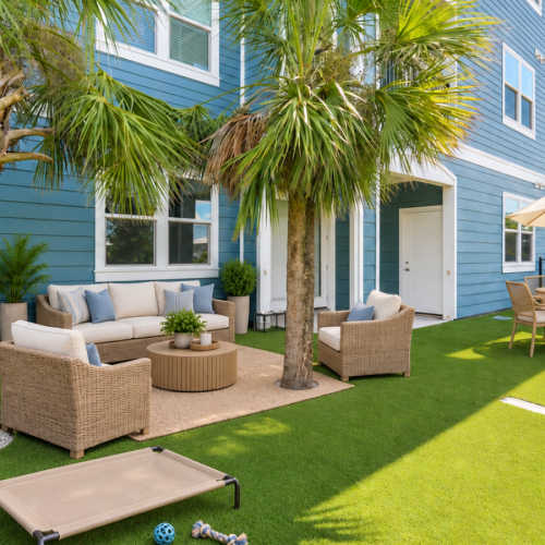 Backyard Oasis